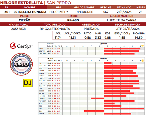 Lote LOTE 25