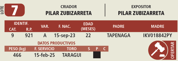 Lote LOTE 7