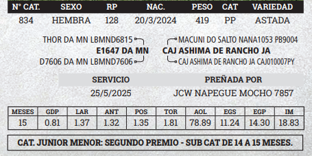 Lote LOTE 8 - BOZAL