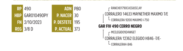 Lote LOTE 13