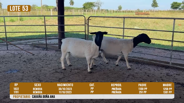 Lote LOTE 53- DESTACADO