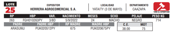 Lote LOTE 25- CAMPO