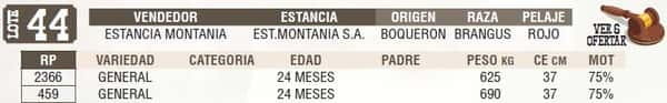 Lote LOTE 44 - EN VIVO