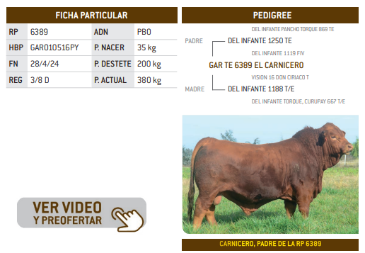 Lote LOTE 12
