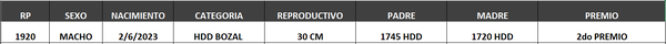 Lote LOTE 62- BOZAL