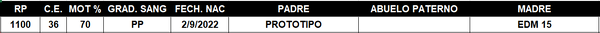 Lote LOTE 50