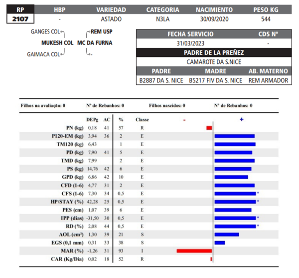 Lote LOTE 38