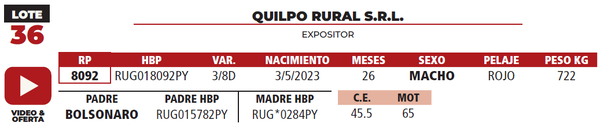 Lote LOTE 36