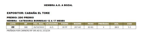 Lote LOTE 22- BOZAL