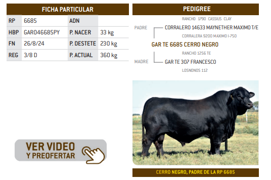 Lote LOTE 9