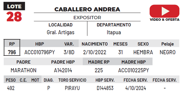 Lote LOTE 28