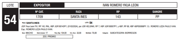 Lote LOTE 54