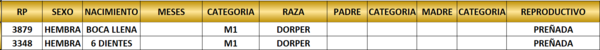 Lote LOTE 27