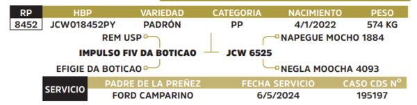 Lote LOTE 65