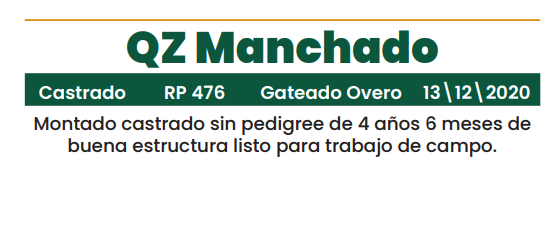Lote LOTE 14