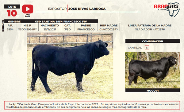 Lote LOTE 10
