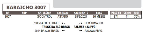 Lote LOTE 11