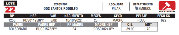 Lote LOTE 22- CAMPO