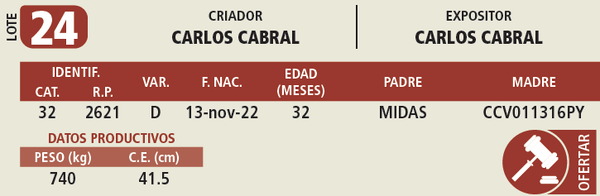 Lote LOTE 24