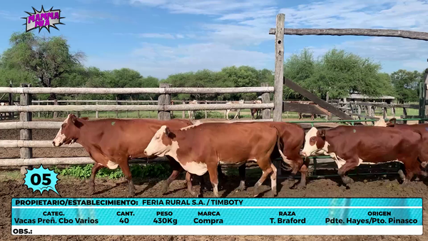 Lote LOTE 5
