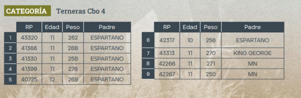 Lote LOTE 28