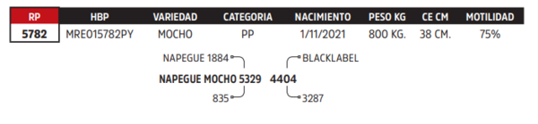 Lote LOTE 12