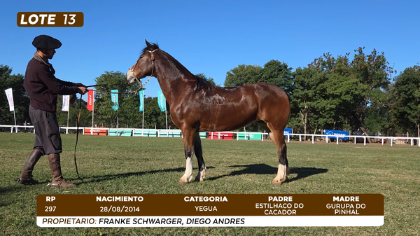 Lote LOTE 13
