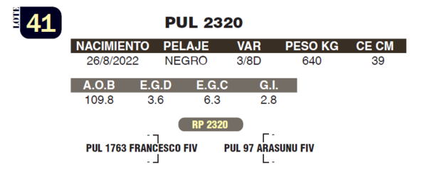 Lote LOTE 41