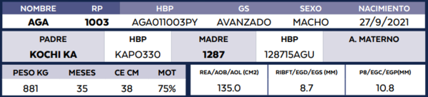 Lote LOTE 1