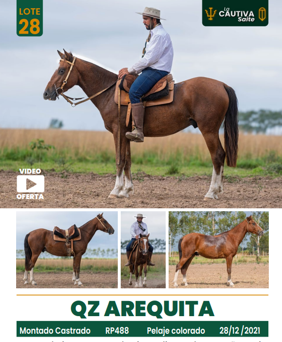 Lote LOTE 28