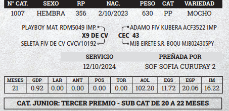 Lote LOTE 2 - BOZAL