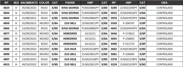 Lote LOTE 15