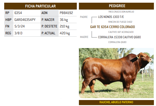 Lote LOTE 31
