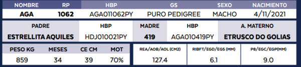 Lote LOTE 2