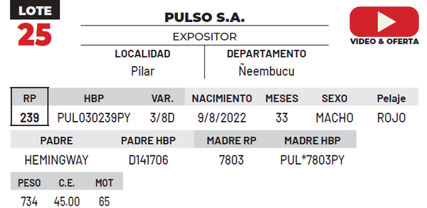 Lote LOTE 25