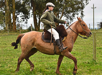 Lote Fuga el tacuaral