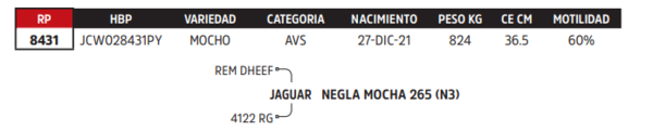 Lote LOTE 65