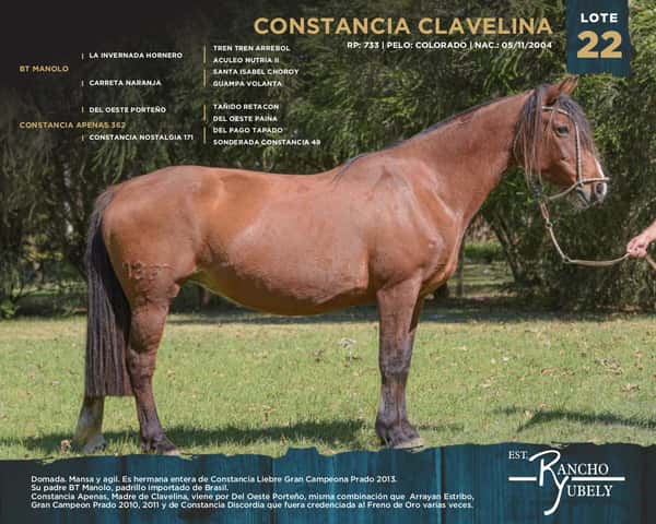Lote Constancia Clavelina