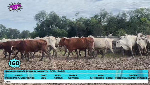 Lote LOTE 160
