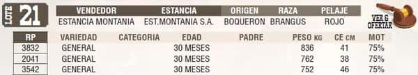 Lote LOTE 21 - EN VIVO