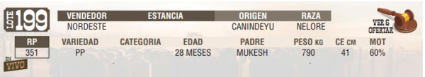 Lote LOTE 199 - EN VIVO