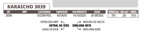 Lote LOTE 17