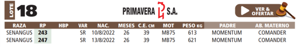 Lote LOTE 18