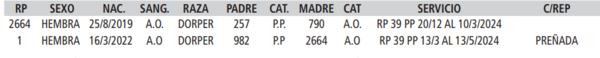 Lote LOTE 33