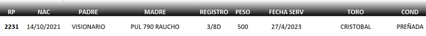 Lote LOTE 13