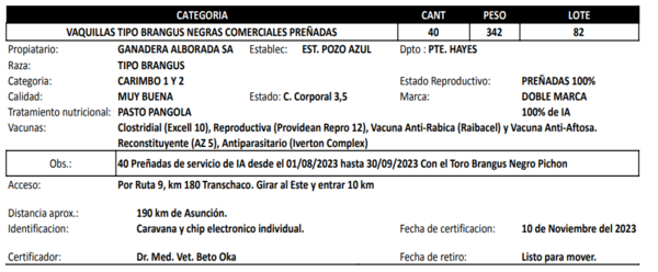 Lote LOTE 82