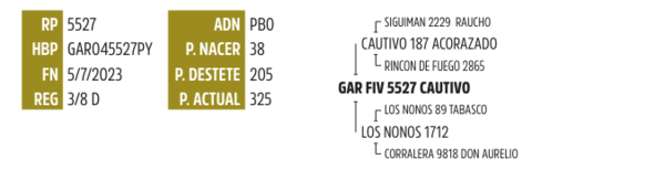 Lote LOTE 22