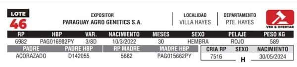 Lote LOTE 46- CAMPO