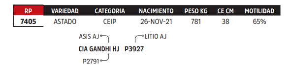 Lote LOTE 56