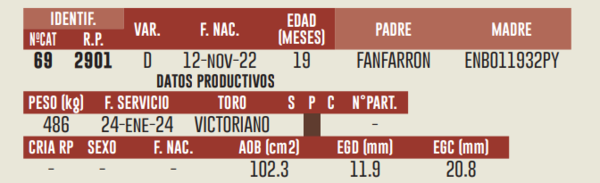 Lote LOTE 4